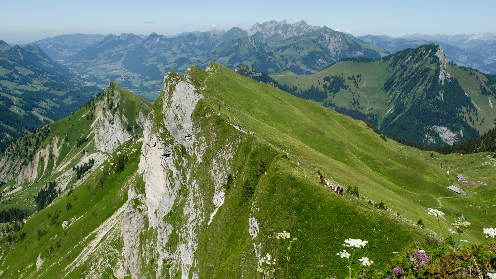 Crête des Rochers de Naye dans les Alpes vaudoises, près de Montreux