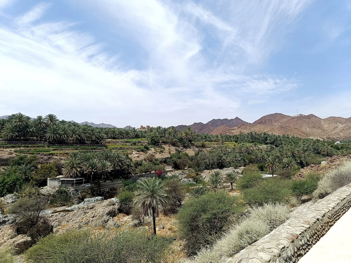 Oasis près de Nizwa, dans une vallée des montagnes Hajar.