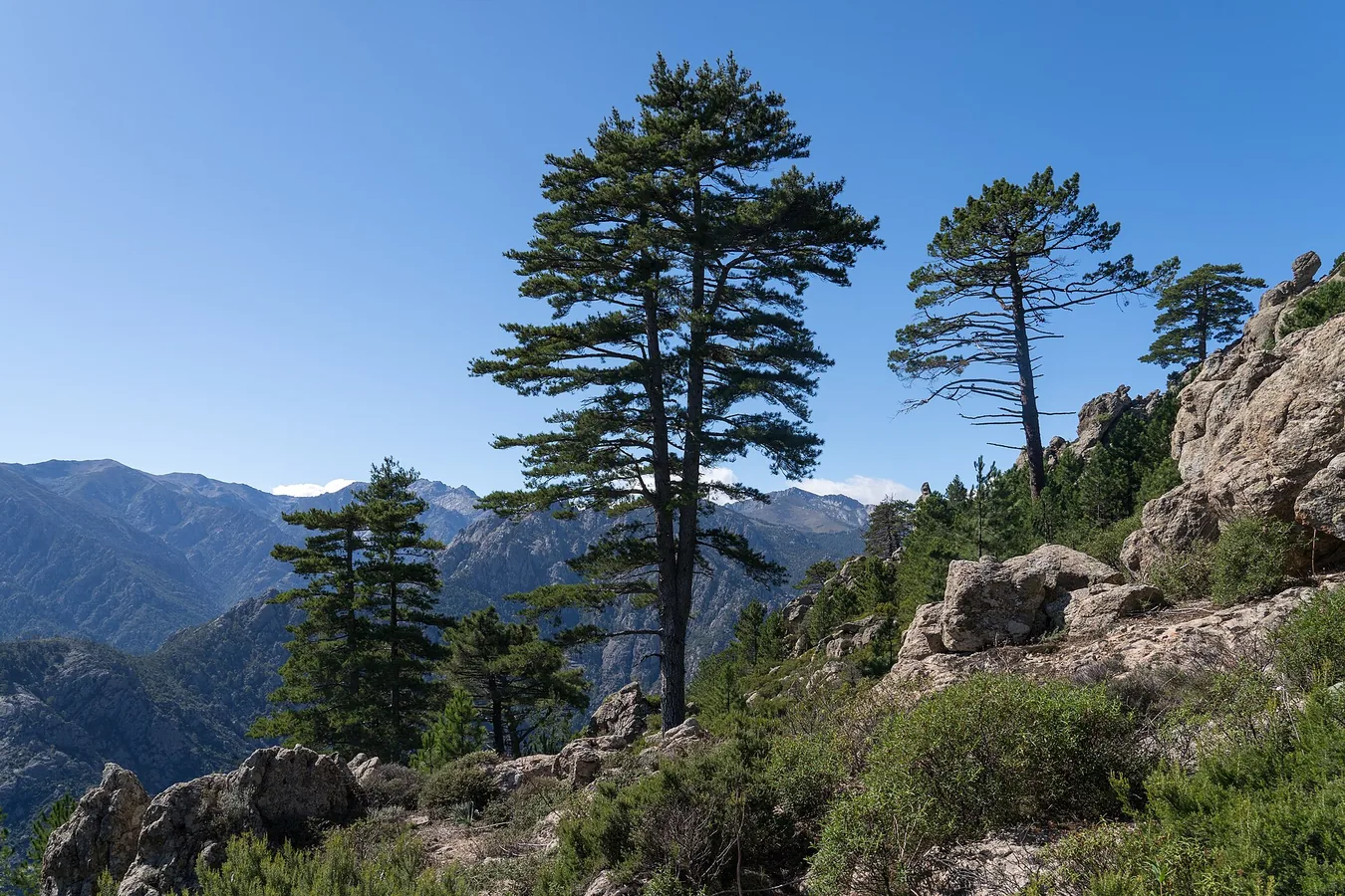 Paysage rocheux depuis un sentier de randonnée près de Corte, en Corse.
