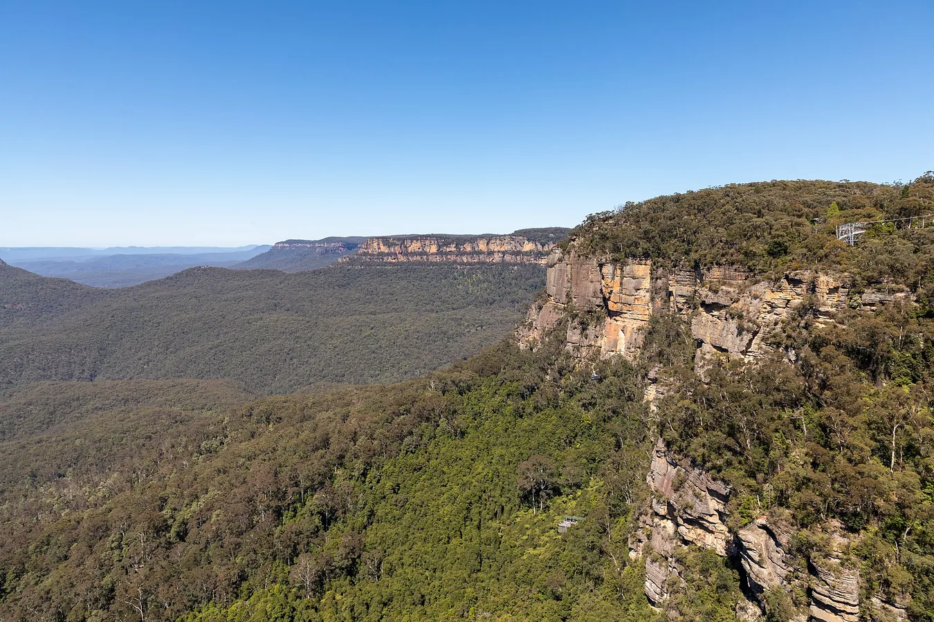 Falaises boisées de la Jamison Valley dans le parc national des Blue Mountains.